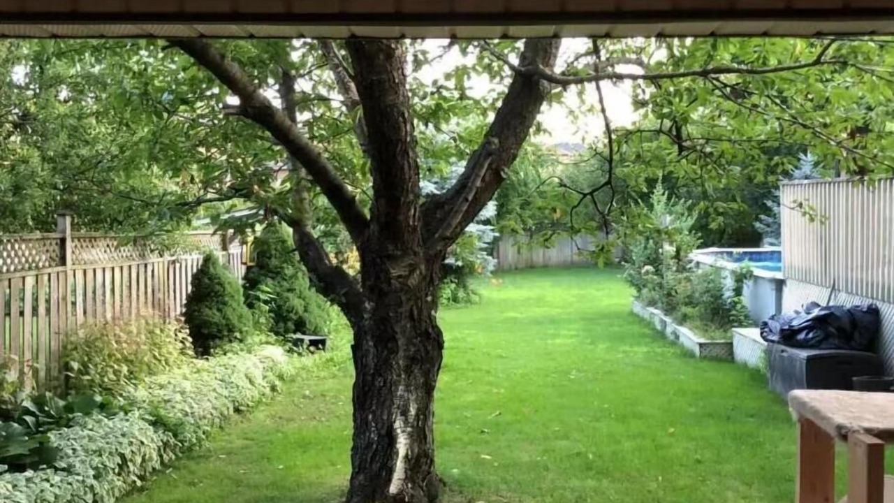 Photo of Outdoor in Central Erin Mills