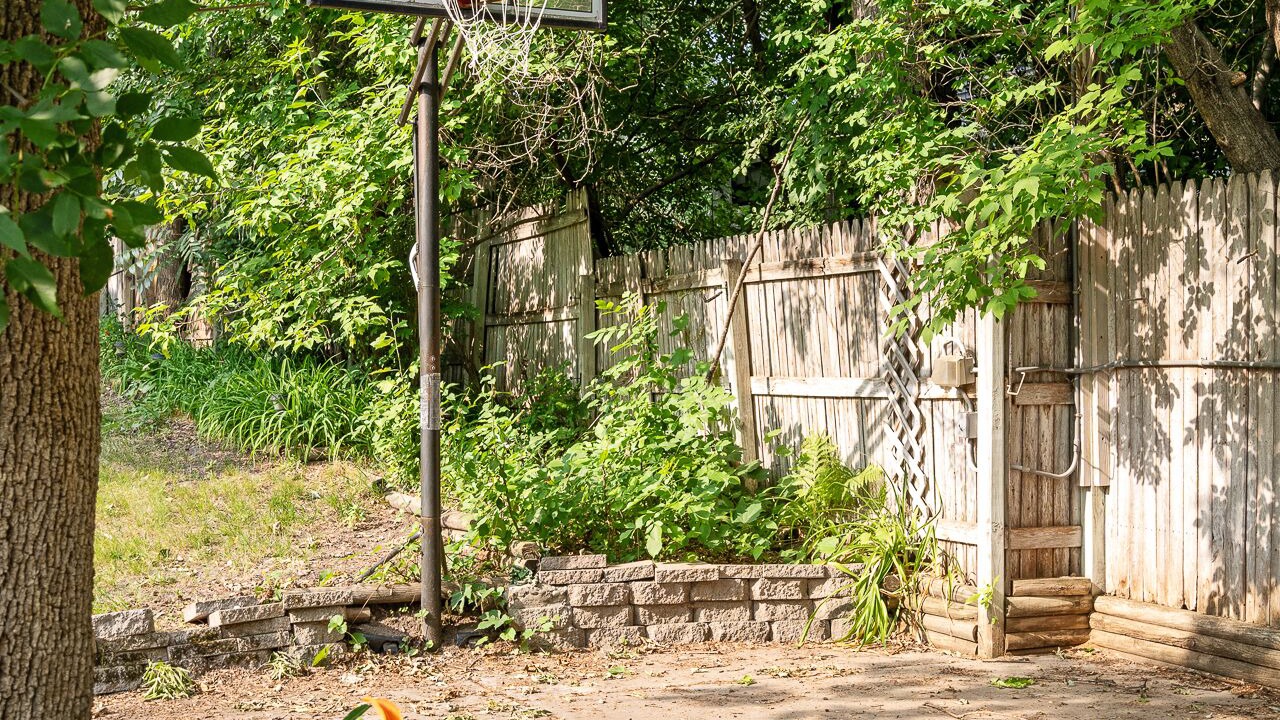 Photo of Outdoor in Forest Lake