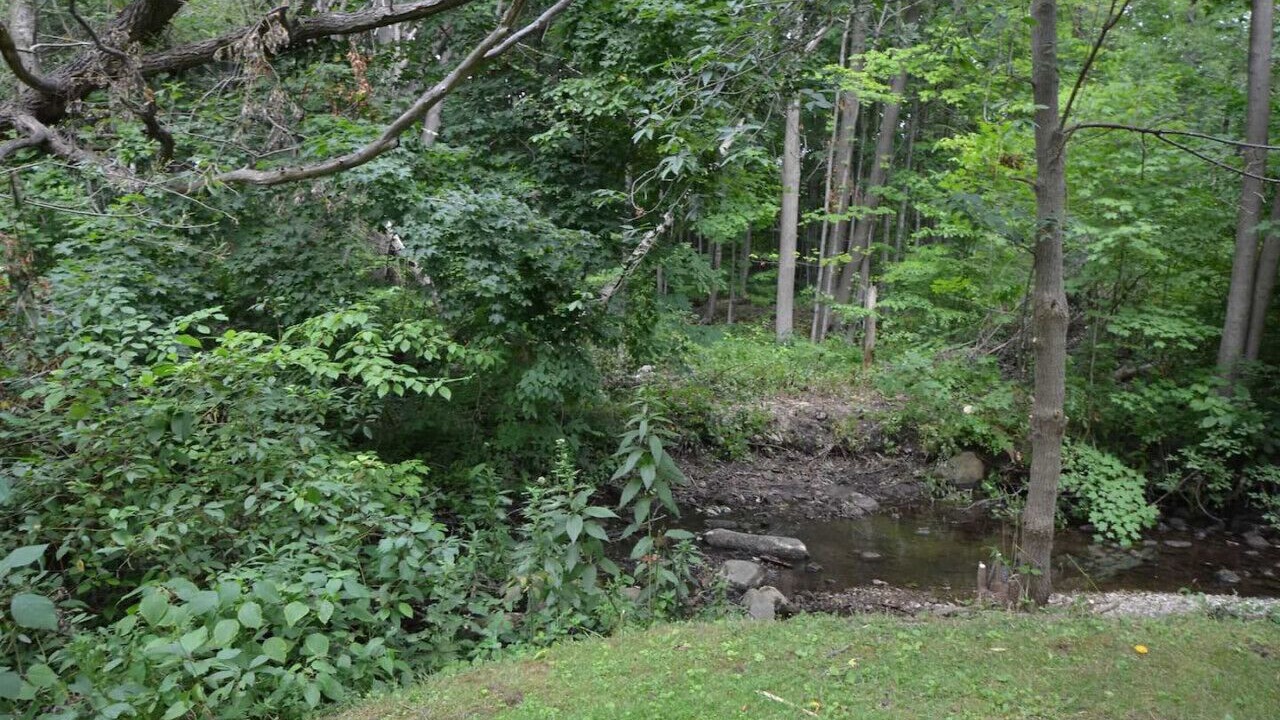 Photo of Outdoor in Courtice