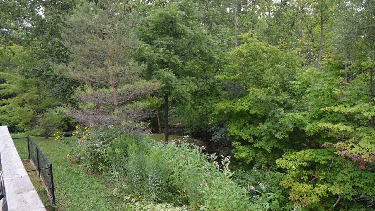 Photo of Outdoor in Courtice