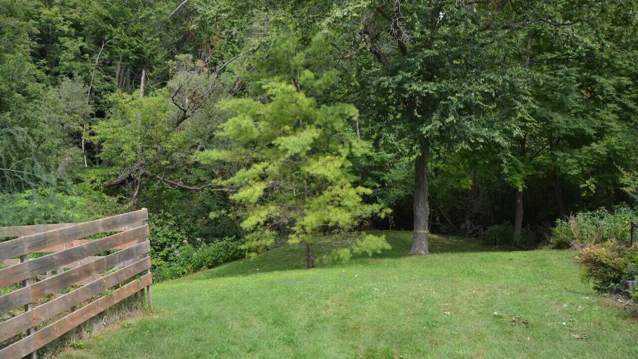 Photo of Outdoor in Courtice