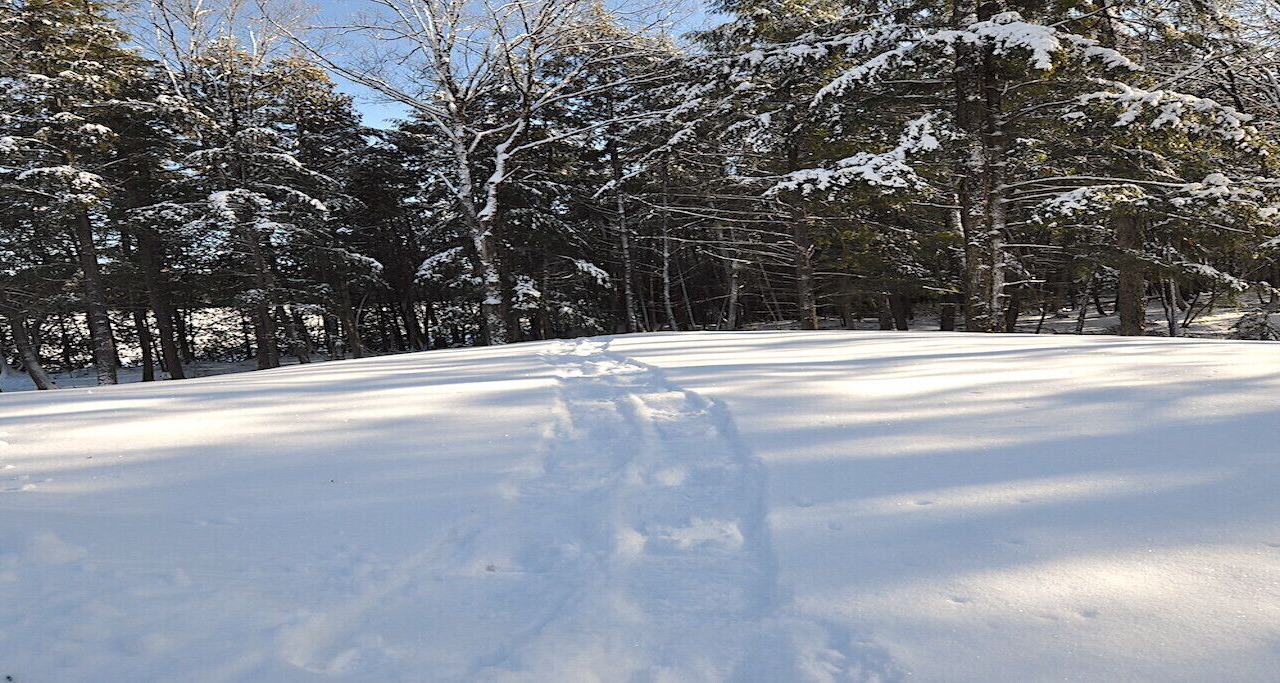 Photo of Others in Trent Lakes