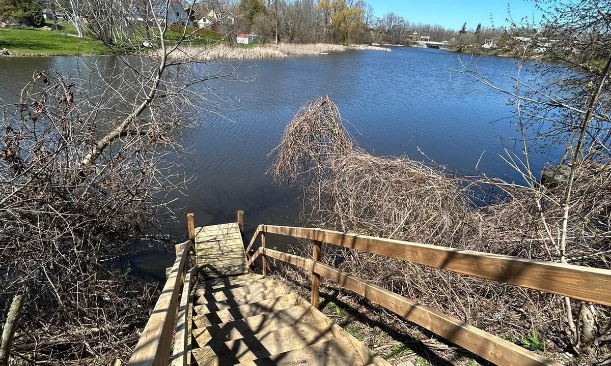 Photo of Outdoor in Sutton
