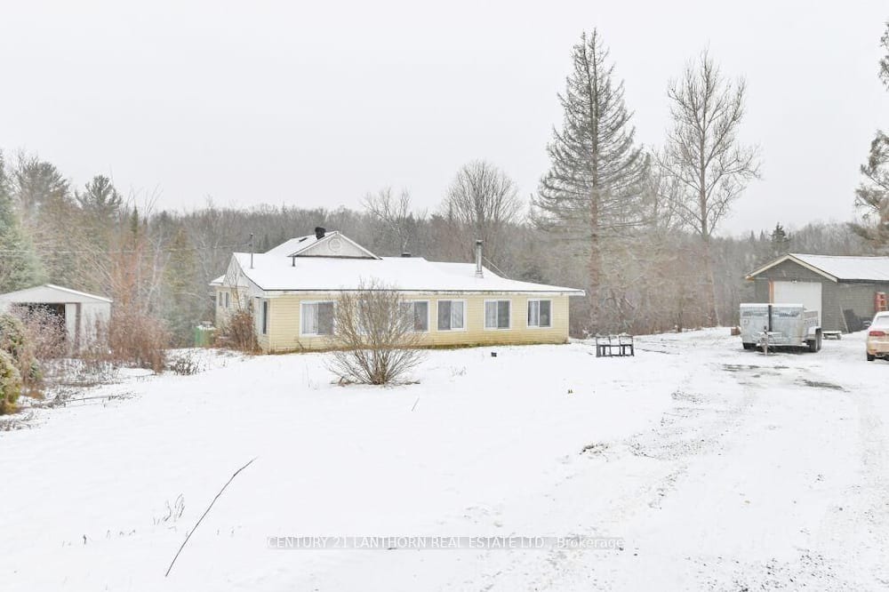 Photo of Outdoor in Cordova Mines