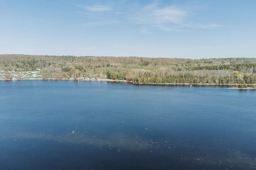 Photo of Others in Quinte West