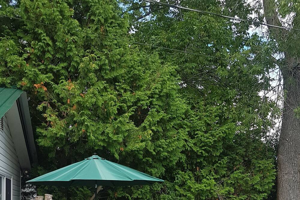 Photo of Outdoor in Manitoulin District