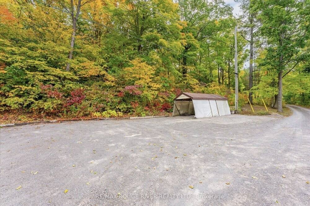 Photo of Outdoor in Centre Hastings