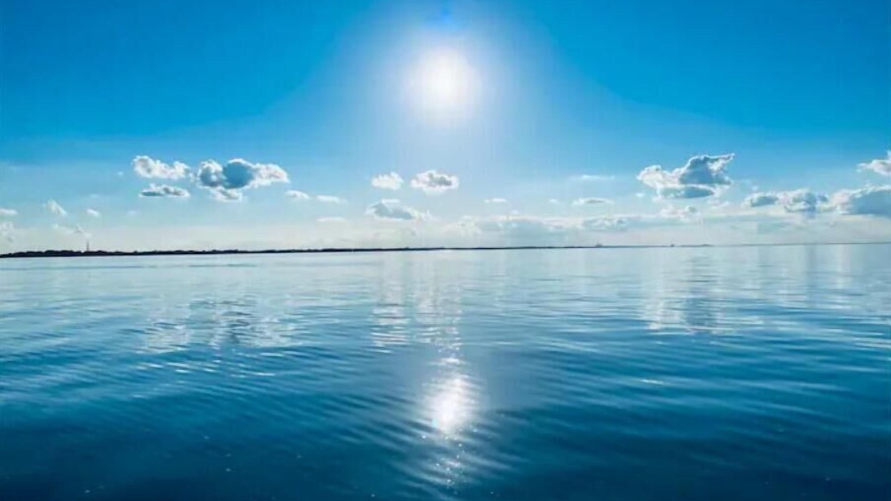 Photo of Others in Lakeshore