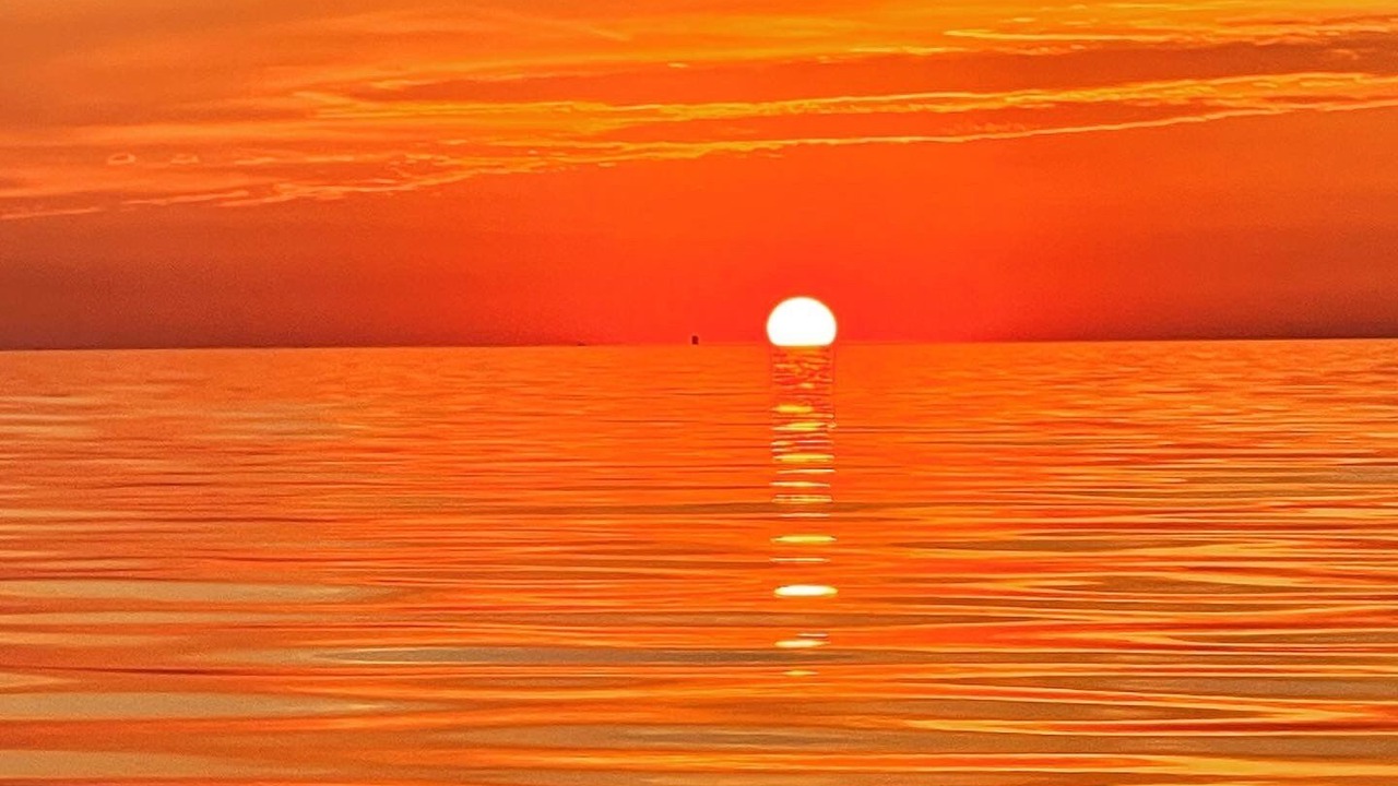 Photo of Others in Lakeshore