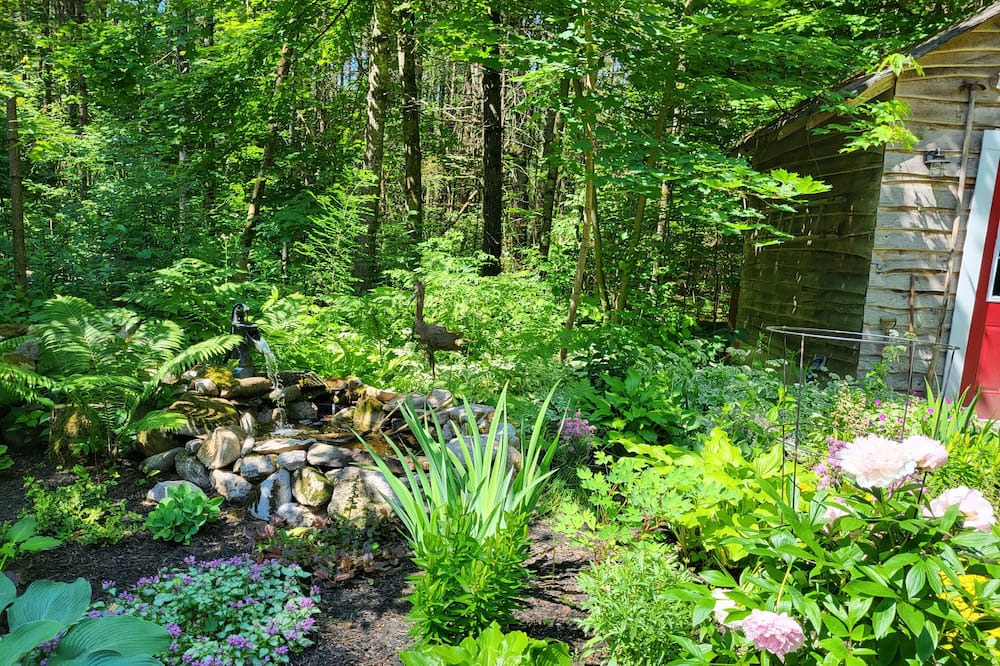 Photo of Outdoor in Havelock-Belmont-Methuen
