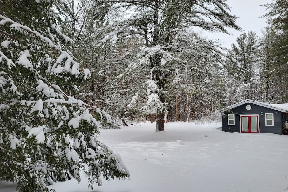 Photo of Others in Havelock-Belmont-Methuen