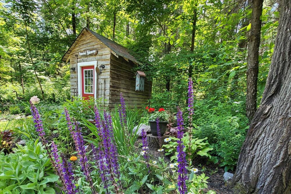 Photo of Outdoor in Havelock-Belmont-Methuen