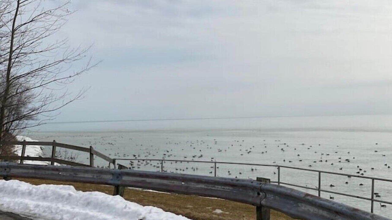 Photo of Outdoor in Cobourg