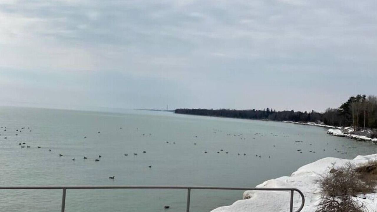 Photo of Others in Cobourg
