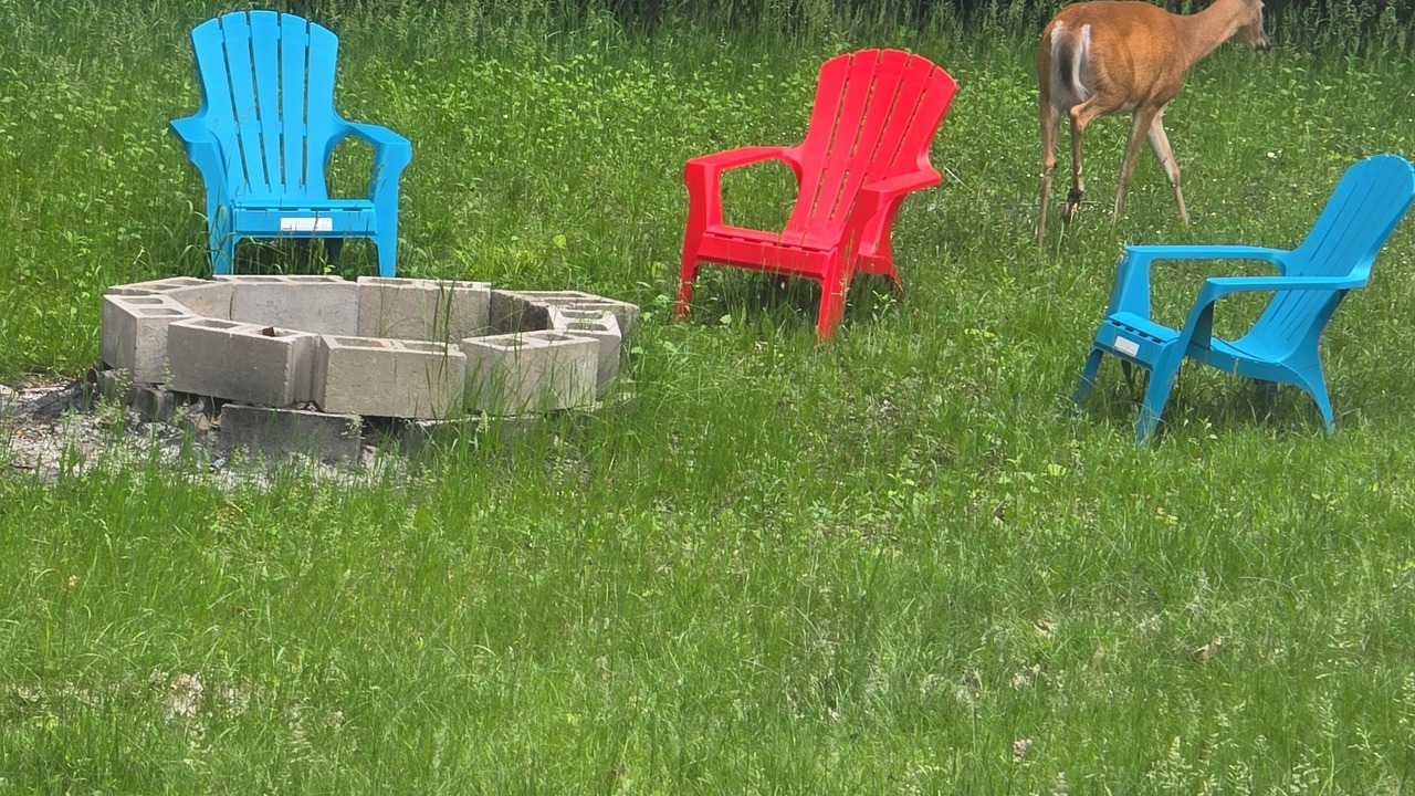 Photo of Outdoor in Lake of Bays