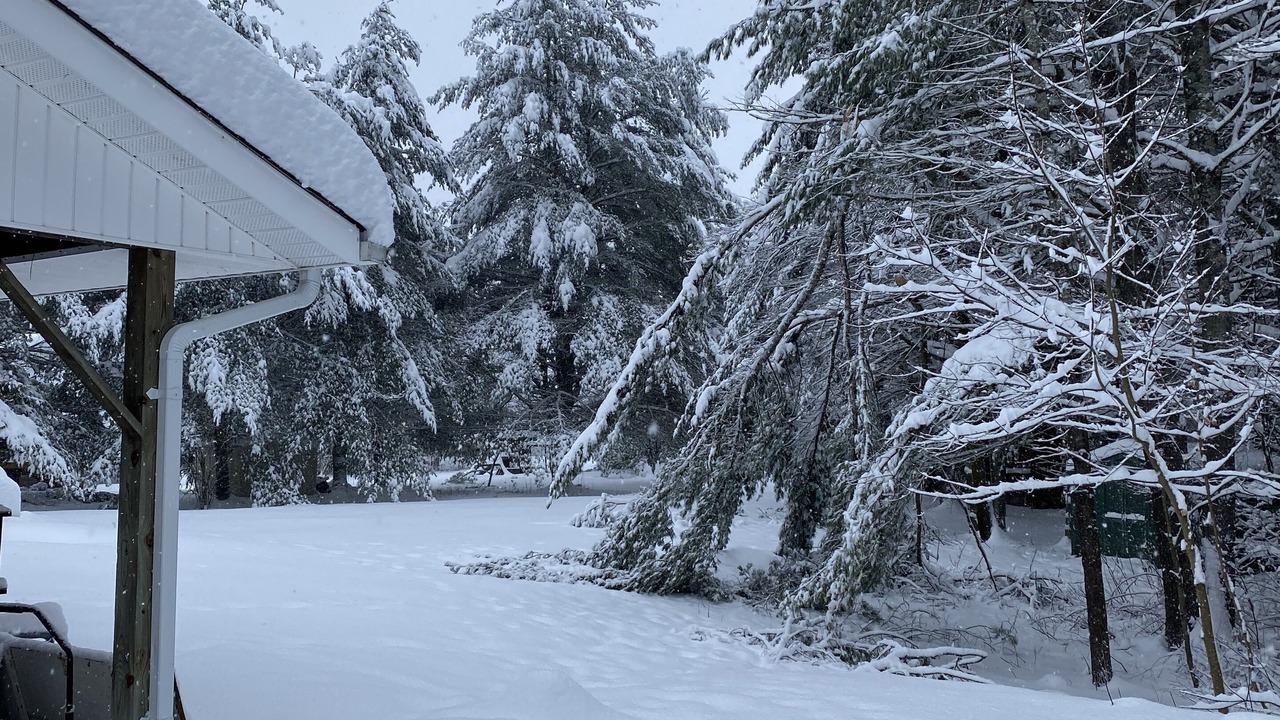 Photo of Outdoor in Hastings Highlands