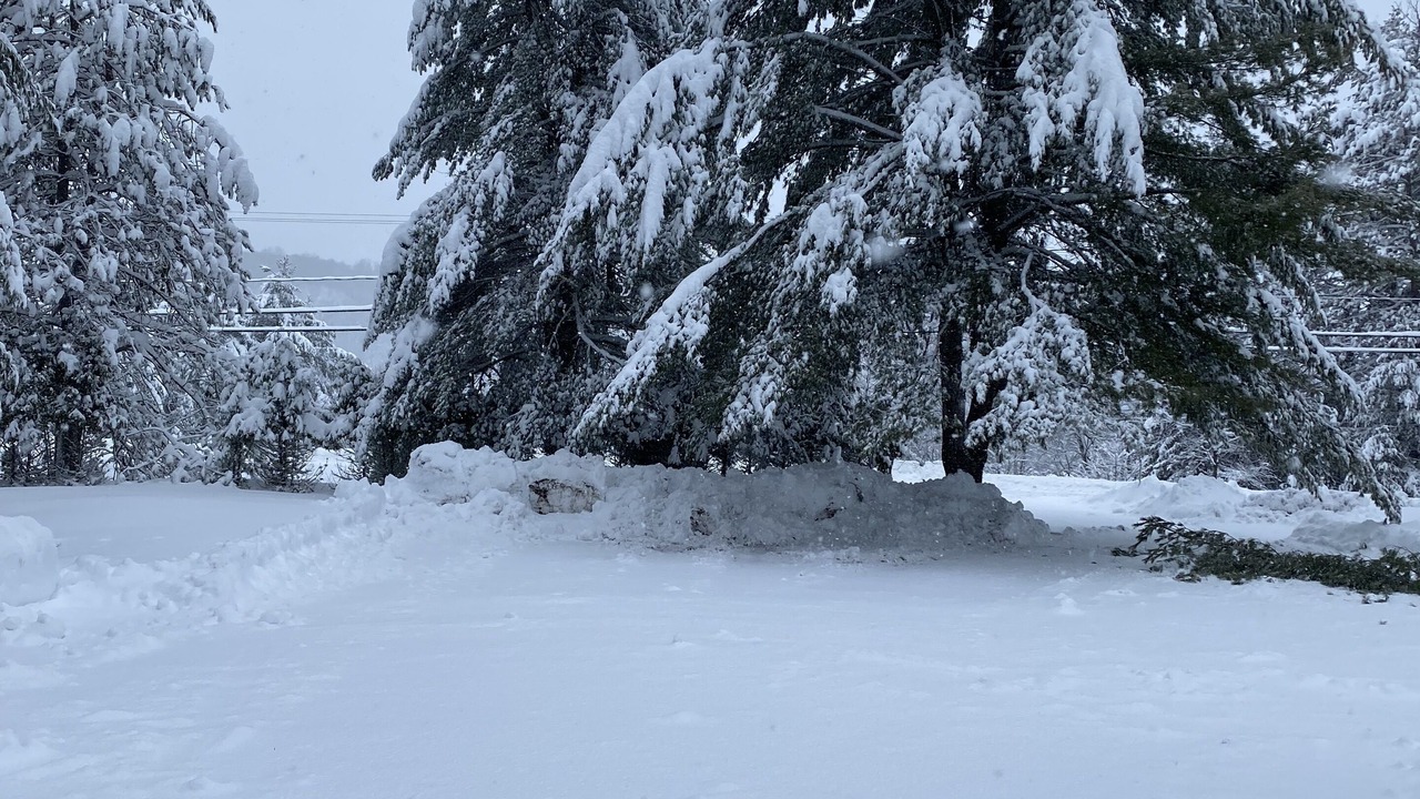 Photo of Outdoor in Hastings Highlands