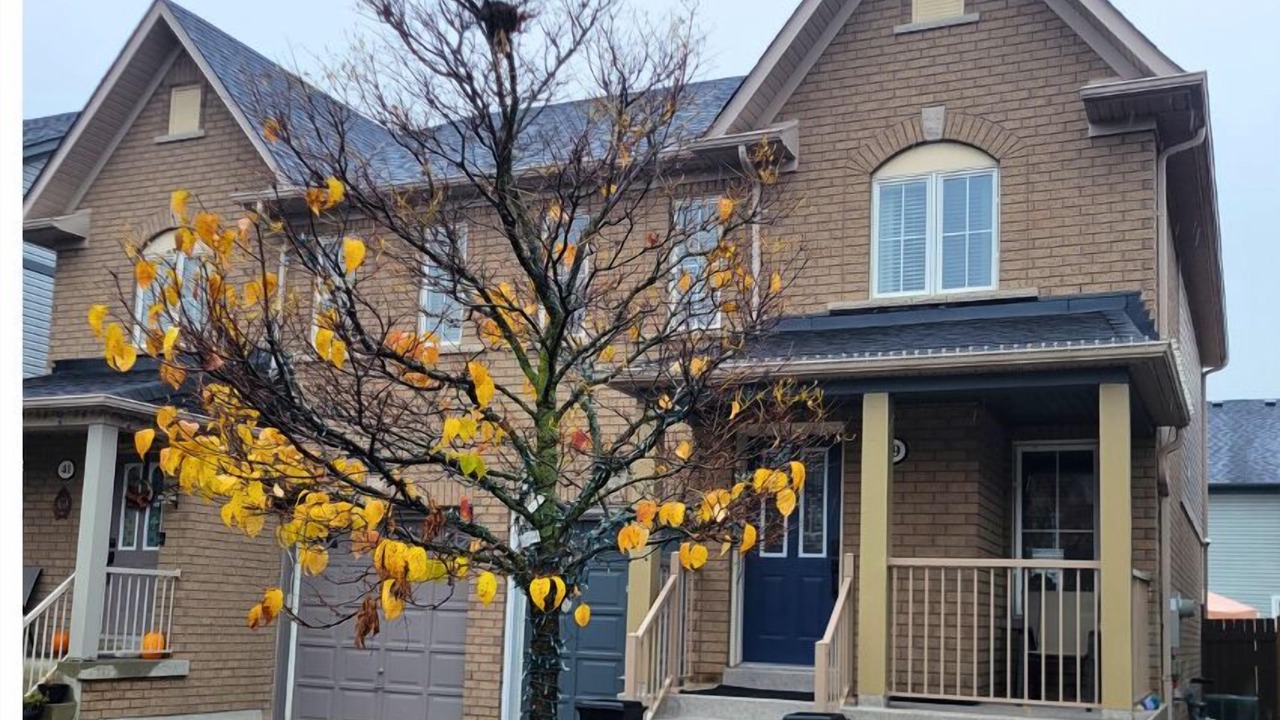 Photo of Outdoor in Ajax