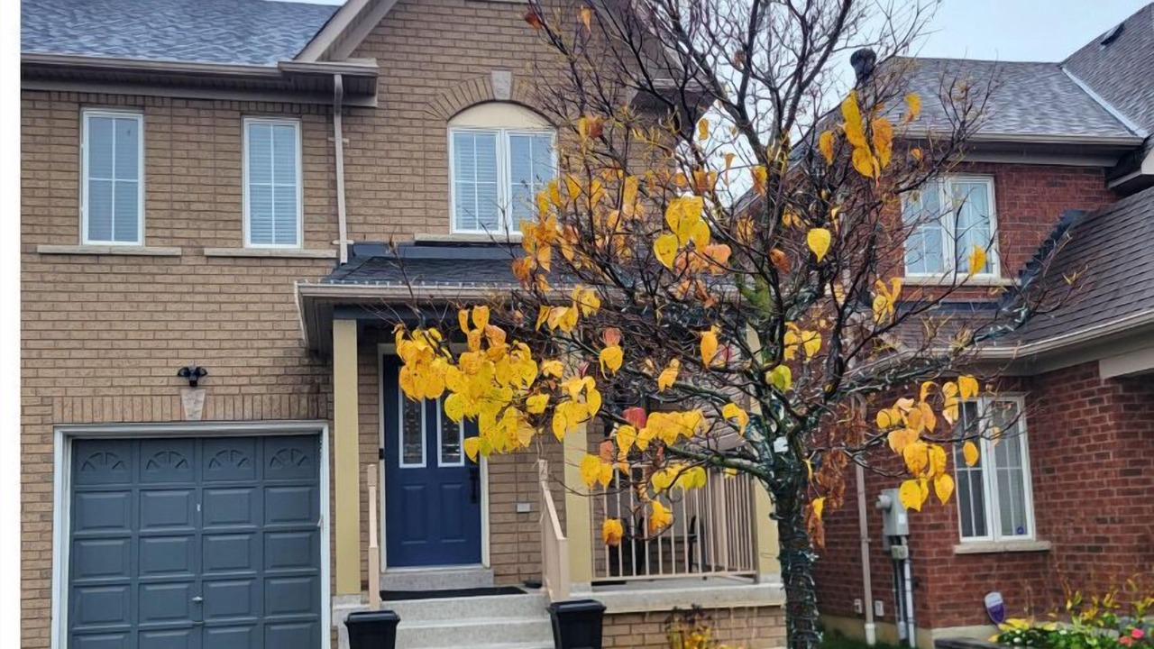 Photo of Outdoor in Ajax