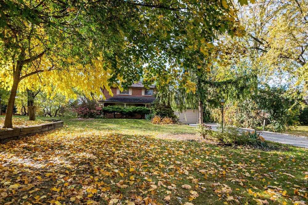 Photo of Outdoor in Clarkson-Lorne Park