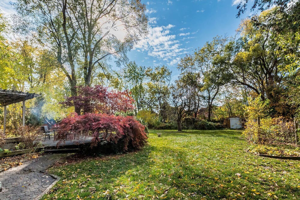 Photo of Outdoor in Clarkson-Lorne Park