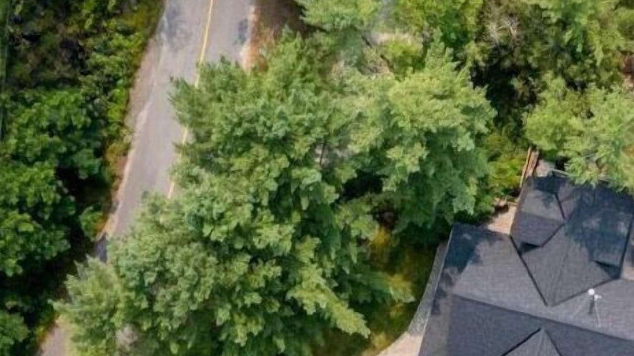Photo of Outdoor in Seguin