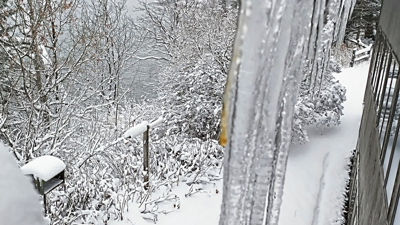 Photo of Outdoor in Tofte