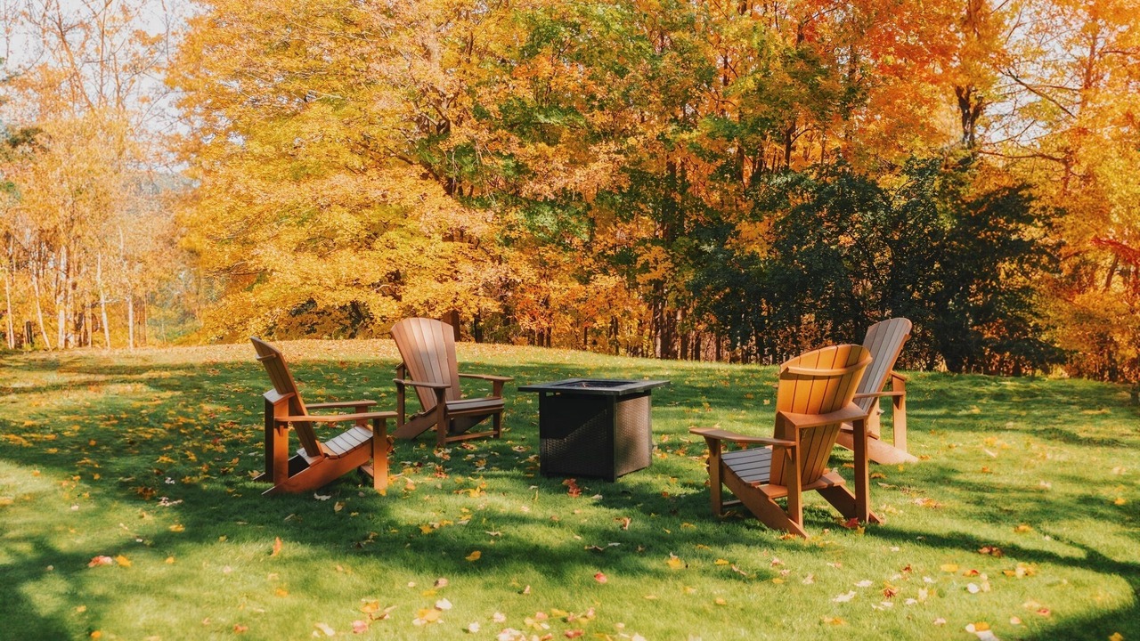 Photo of Outdoor in North York