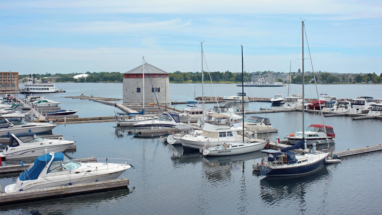 Photo of Others in Kingston