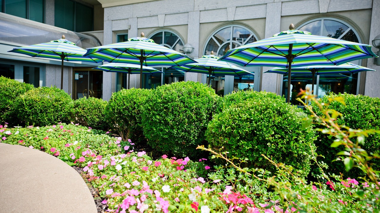Photo of Patio Balcony in Port Credit