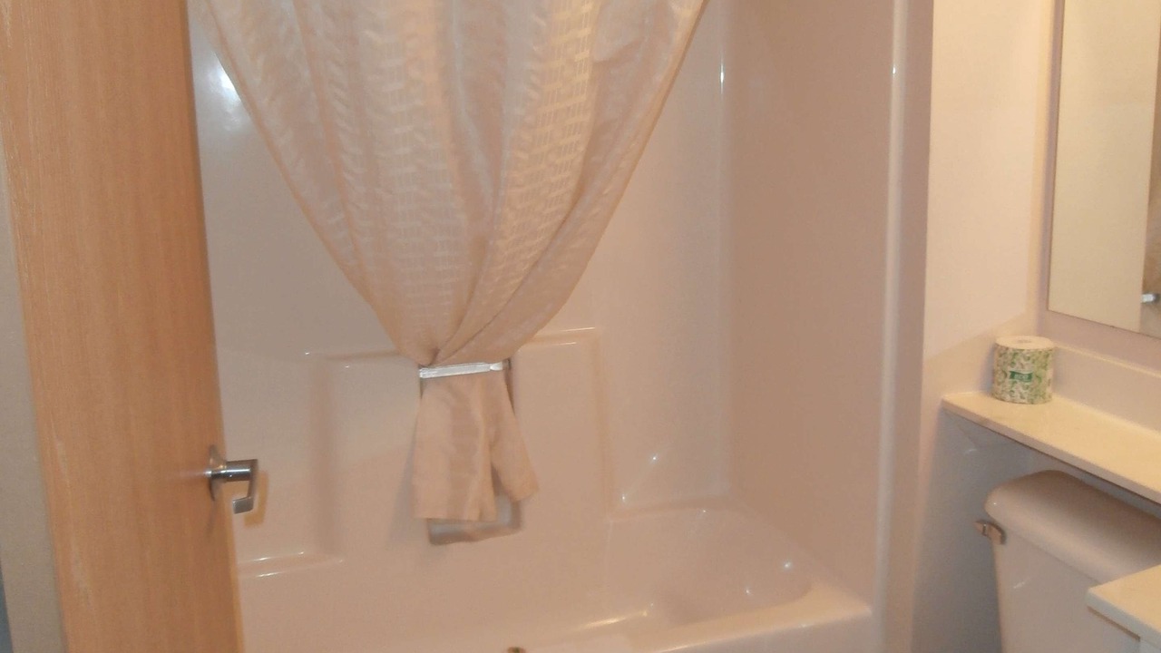 Photo of Bathroom in Annandale