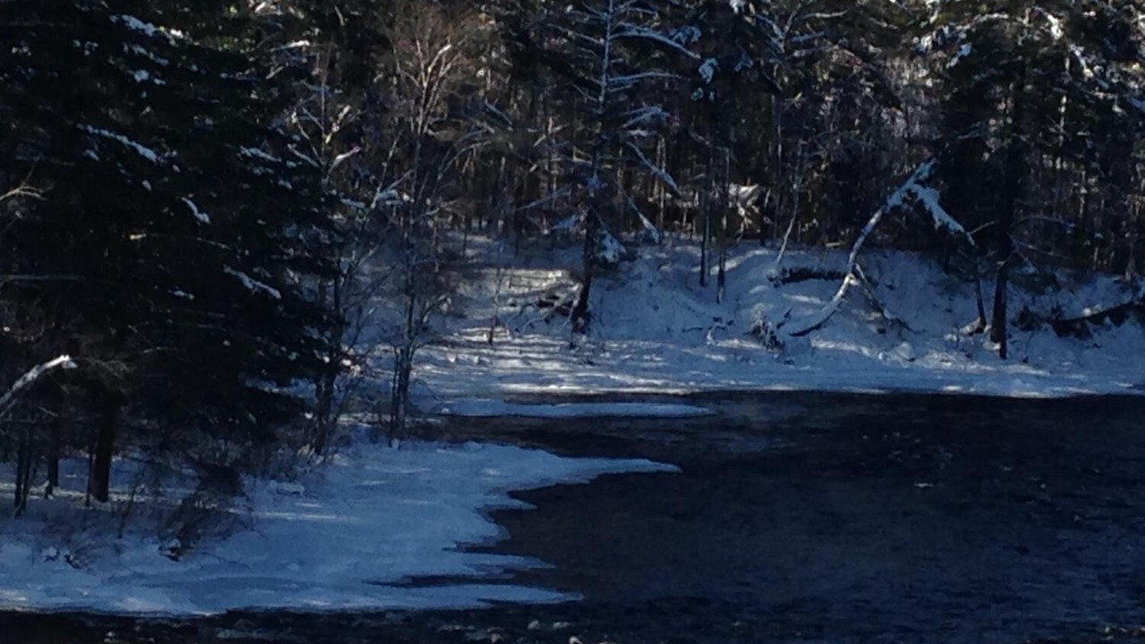 Photo of Outdoor in Petawawa