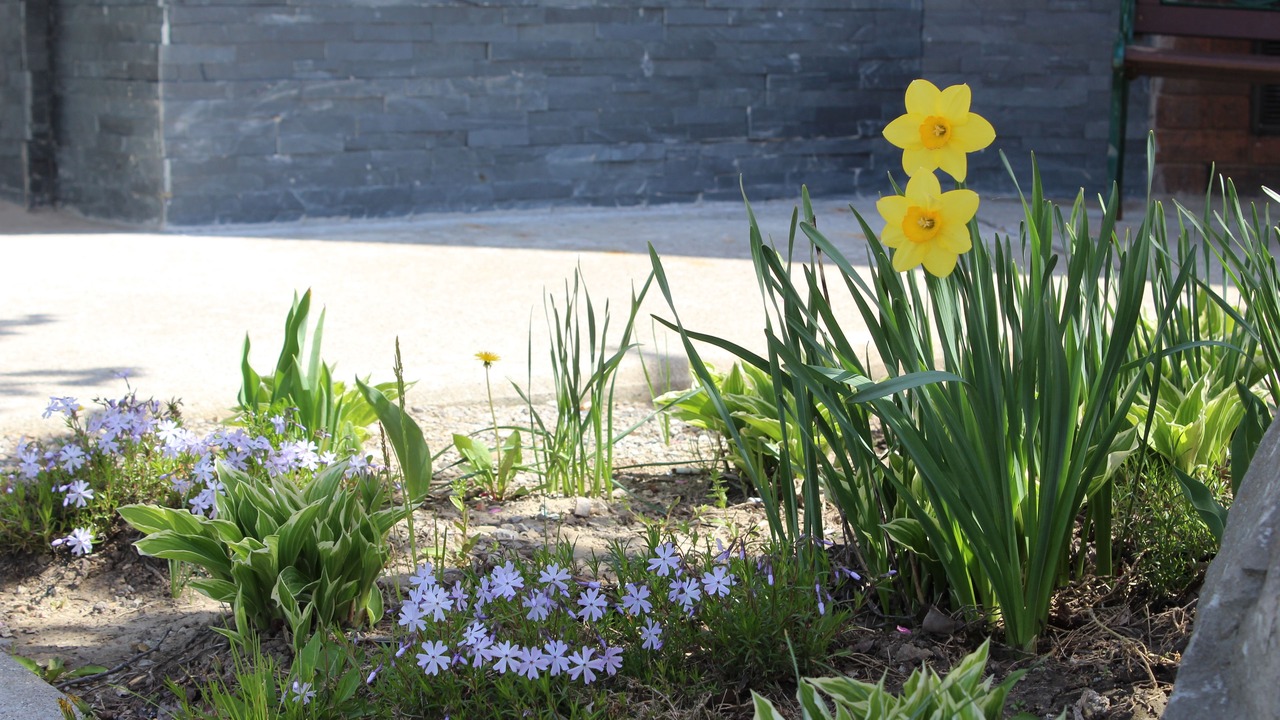Photo of Outdoor in Chatham-Kent
