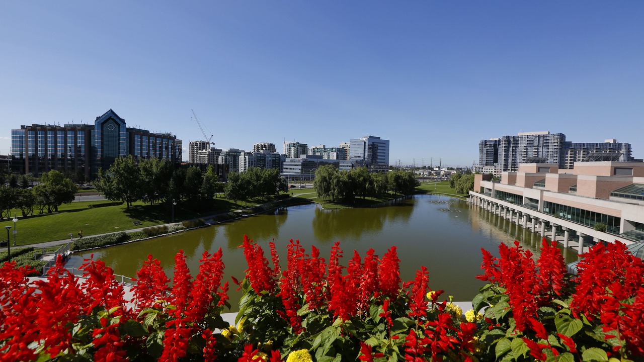 Photo of Others in Markham