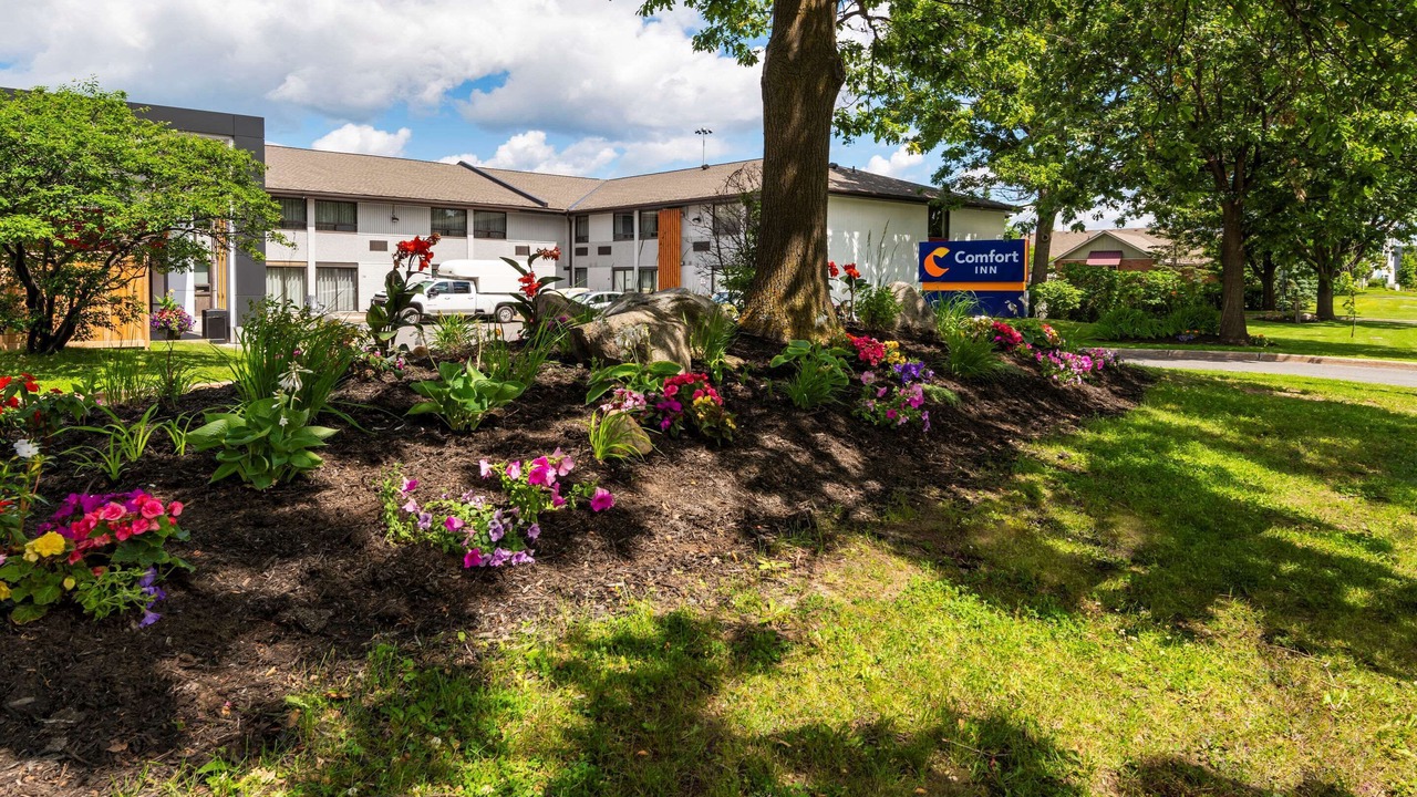 Photo of Outdoor in Ottawa Division