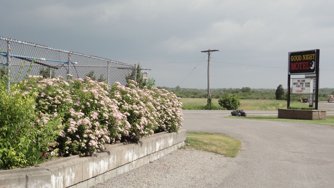 Photo of Outdoor in Port Colborne