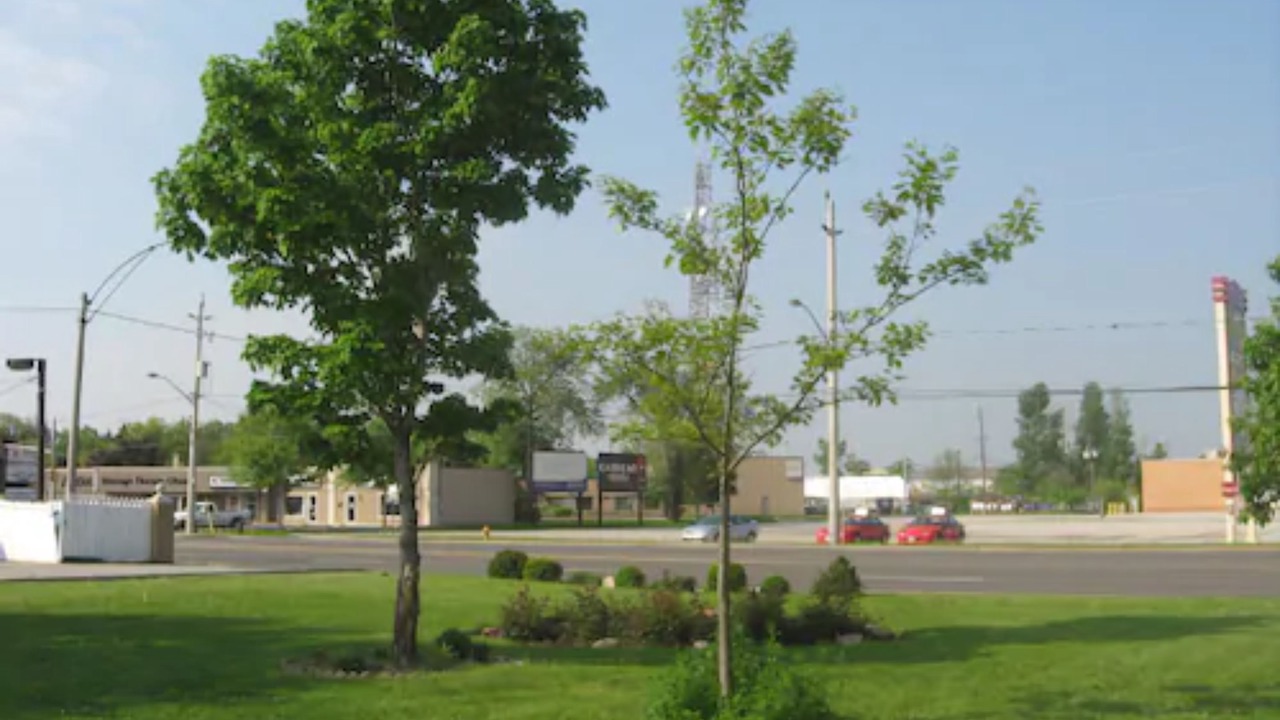 Photo of Outdoor in Windsor