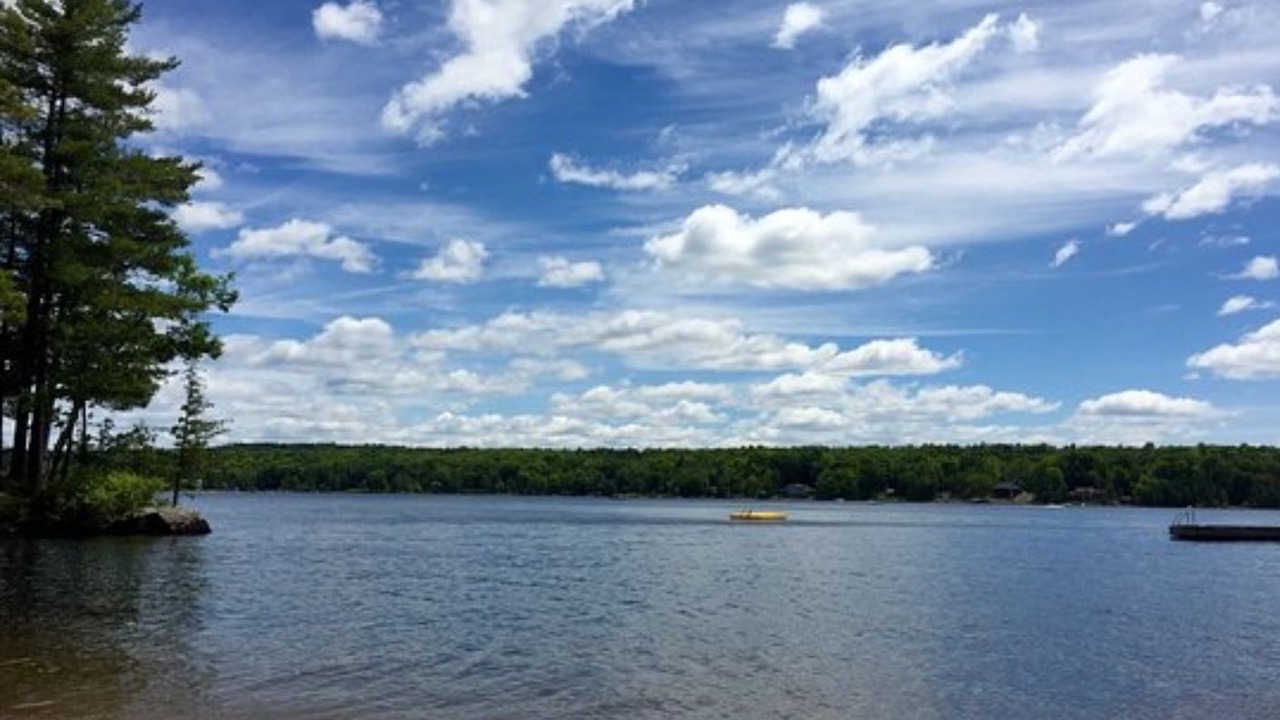 Photo of Others in Buckhorn