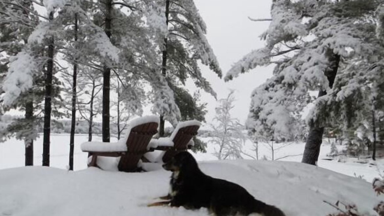 Photo of Others in Buckhorn