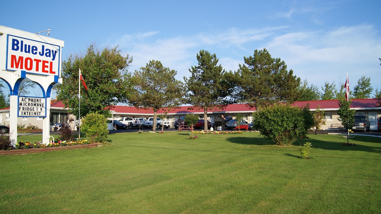 Photo of Outdoor in Otonabee-South Monaghan