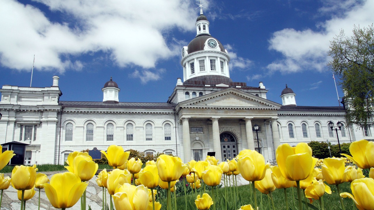 Photo of Others in Kingston