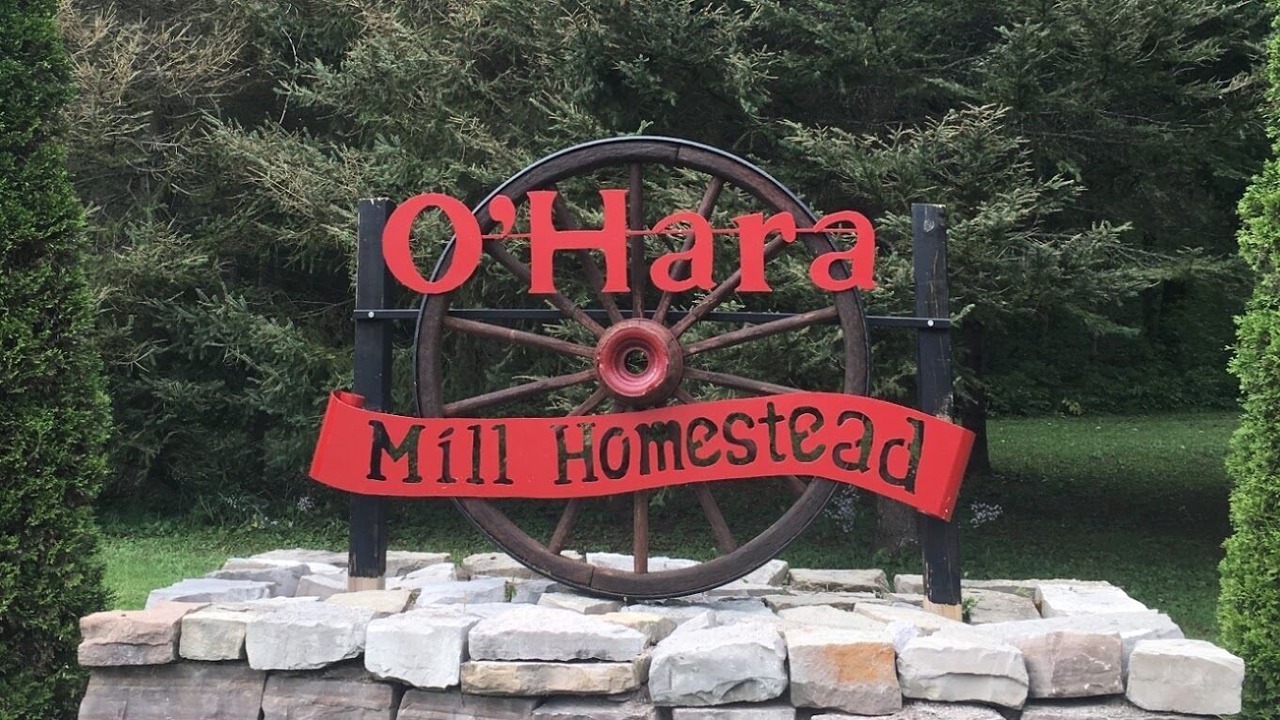 Photo of Others in Madoc