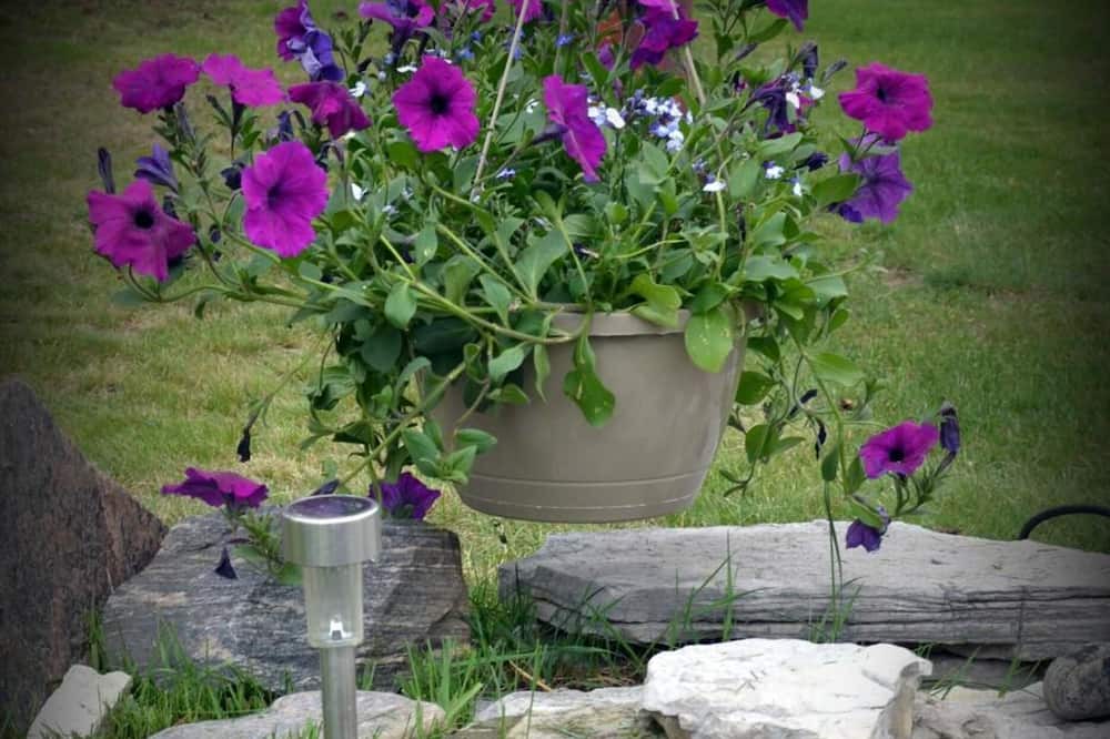 Photo of Outdoor in Huntsville