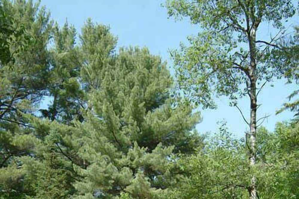 Photo of Outdoor in Huntsville