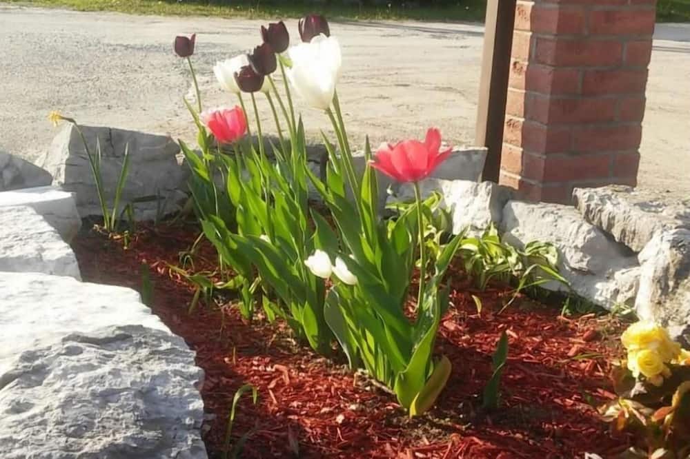 Photo of Outdoor in Huntsville