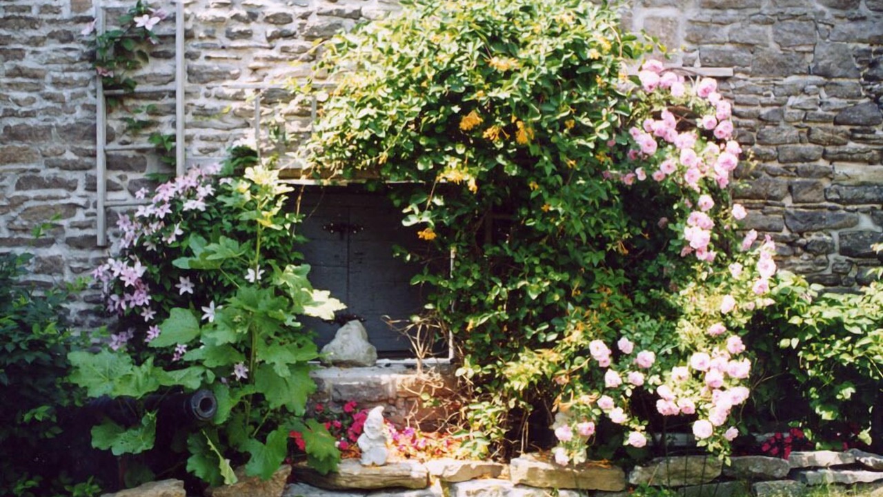 Photo of Outdoor in Brockville