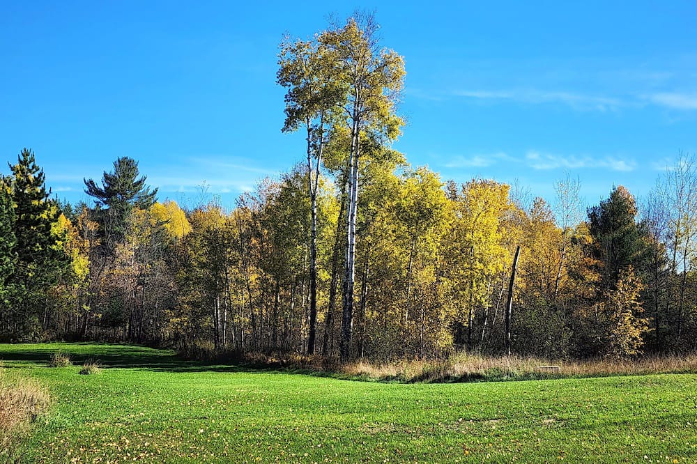 Photo of Outdoor in Hibbing