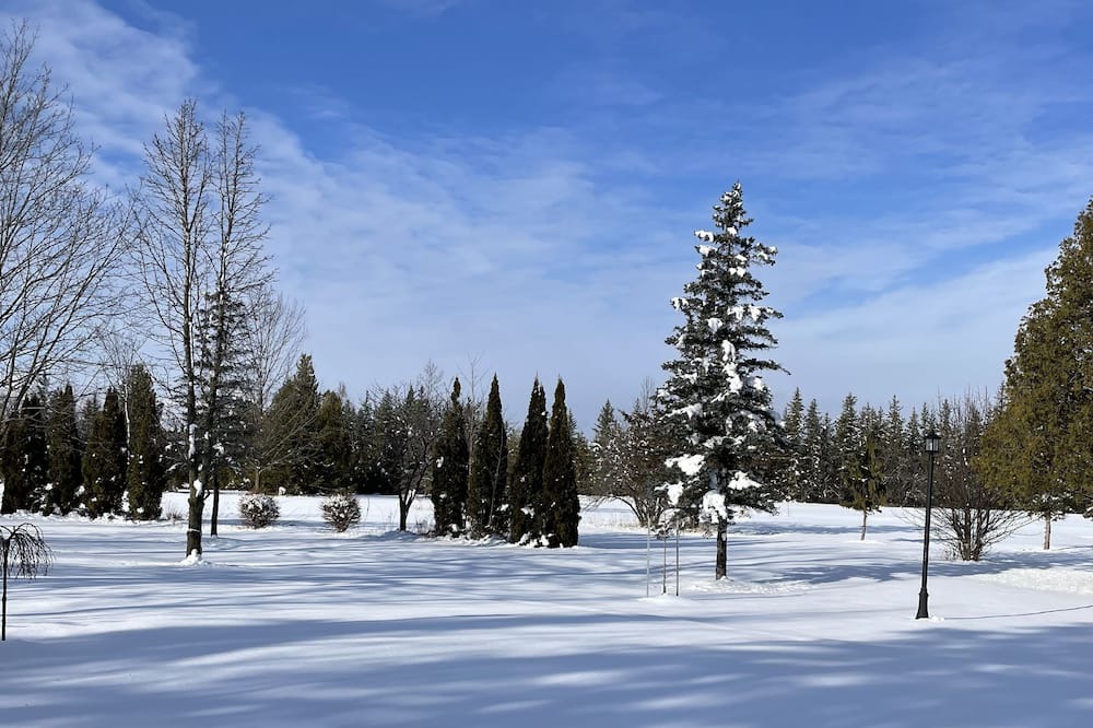 Photo of Others in Lindsay