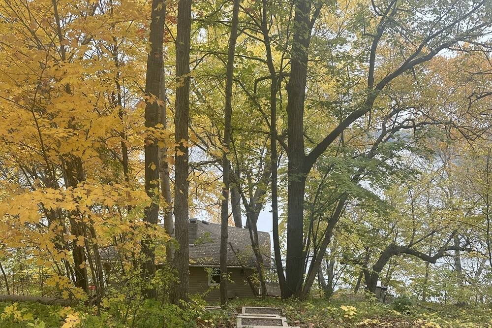 Photo of Outdoor in South Haven