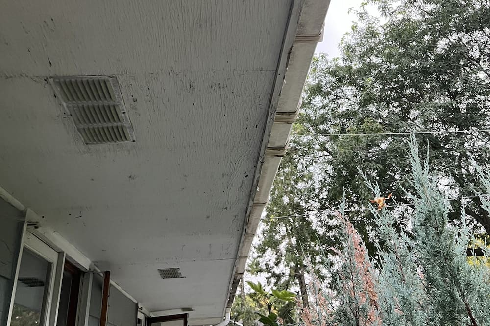 Photo of Outdoor in Excelsior